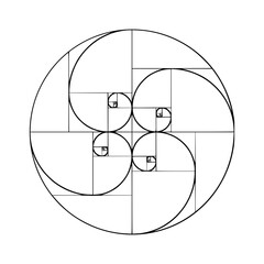 fibonacci spiral vector