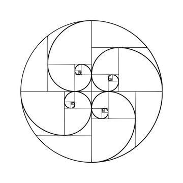 fibonacci spiral vector