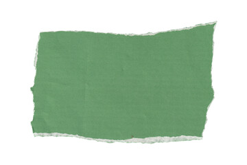 Grunge Green Paper Texture with Tattered Edges - Blank Design Element