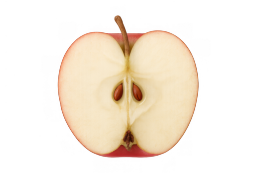 Red apple half cross section with seeds, showing fresh pulp and core structure for healthy eating concepts