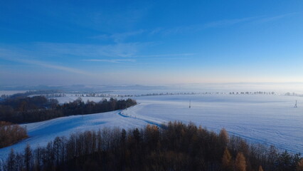 Obraz premium A peaceful winter landscape featuring a wide, open field blanketed in fresh snow, with snow-covered trees standing along the horizon. Soft natural light enhances the serene atmosphere, 