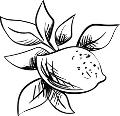 Hand-drawn Mediterranean food doodles featuring Italian pasta, cheese, and pizza. Perfect for dinner menus, picnic designs, or summer cuisine illustrations.