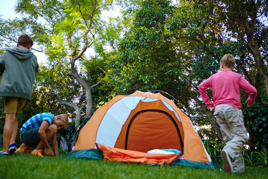 Kids, pitching tent and playing outdoor for camping activity, childhood memories and bonding together. Boys, building or set up campsite in nature for friendship connection, fun adventure or holiday. - Powered by Adobe