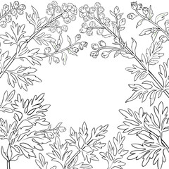 Wormwood Branch with Flowers and Leaves Outline Frame. Vector isolated for design or decoration.
