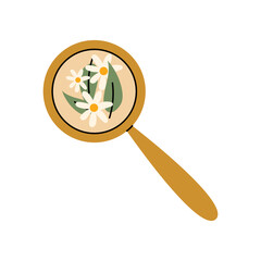 Tea strainer with chamomile flowers for cozy herbal drink preparation