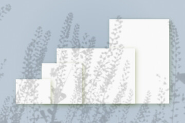Natural light casts shadows from wildflowers on several sheets of white paper lying on a blue background. Mockup