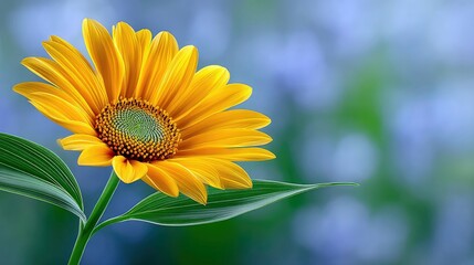 A vibrant yellow sunflower in full bloom with green leaves against a soft, blurred background. The image evokes a sense of natural beauty and tranquility.