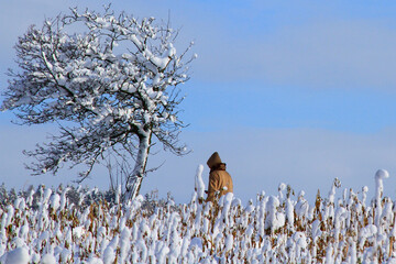 Winterlandschaft mit Mensch