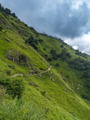 Naklejka premium Narrow Trekking Path Winding Across a Steep, Lush Green Mountain Slope in the Himalayas