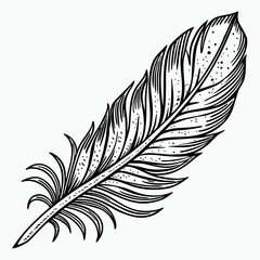 Highly Detailed Vintage Stipple Effect Flight Feather Study