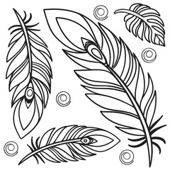 Crisp Graphic Flowing Organic Shapes Feather Art