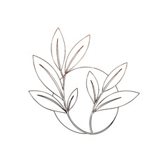 Obraz premium Minimalist line drawing of a circular floral design with leaves on a white background in a simple, elegant style.