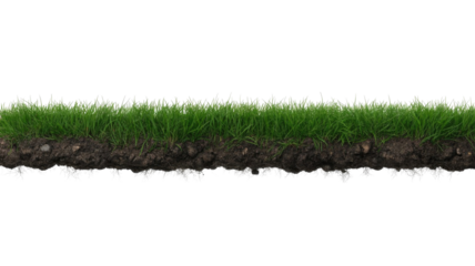 A horizontal strip of vibrant green grass with exposed soil and roots, ideal for transparent overlays or digital design. background removed