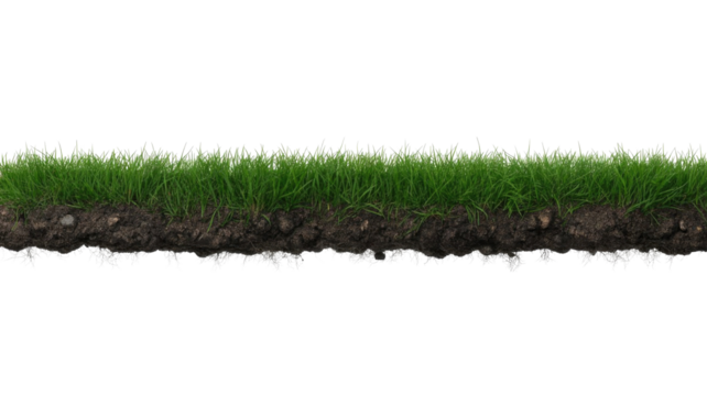 A horizontal strip of vibrant green grass with exposed soil and roots, ideal for transparent overlays or digital design. background removed