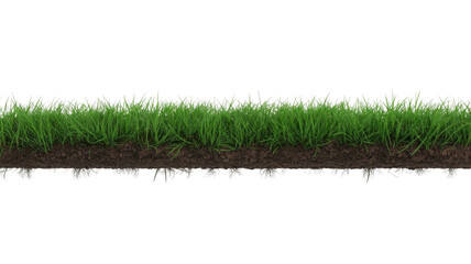 A vibrant green grass strip with visible soil and roots underneath, presented against a solid background, ready for use in design. background removed