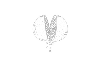 Line art illustration of a fruit split open, with seeds falling from its core.
