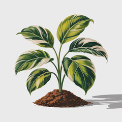 This modern illustration showcases a stylish potted plant with large, vibrant green leaves, exemplifying a connection with nature and enhancing home decor aesthetics.