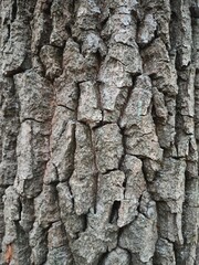 texture
