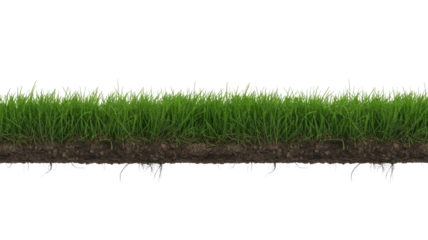 A vibrant green grass strip with exposed rich brown soil and intricate roots, perfect as a transparent design element. background removed