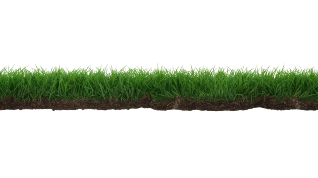 A vibrant green grass strip with visible soil and roots, horizontally isolated on a transparent background, perfect for natural design elements and overlays. background removed