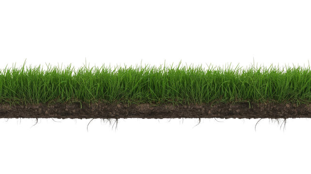A vibrant green grass strip with exposed rich brown soil and intricate roots, perfect as a transparent design element. background removed