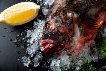 Fresh raw lumpfish on ice with dill and lemon wedge on black background. High-quality seafood close-up, top view, copy space.