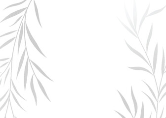 High-Resolution Transparent PNG Leaf Shadow Vector Olive Effect for Elegant Mockups and Photorealistic Design Enhancements