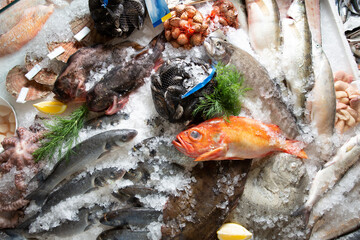 Vibrant fresh seafood market display on crushed ice featuring assorted whole fish, shellfish, and octopus. High-quality marine catch.