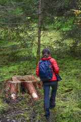 Woman hiking through the forest with backpack

