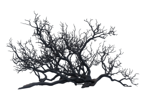 Intricate dark gray tree branches with subtle purple accents against a black background