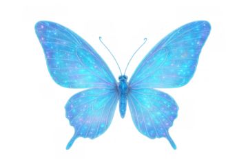 Blue butterfly wings depicting a glowing galaxy pattern and sparkling stars with transparent background