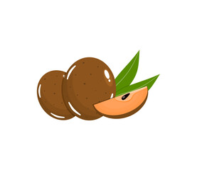 Sawo Fruit Vector Illustration with Sapodilla Cut Section for Tropical Food and Nature Themes