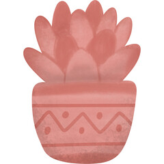 Cute Pink Succulent Plant in Patterned Pot