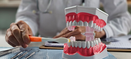 Dental professional demonstrates proper brushing technique on model teeth during patient consultation