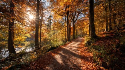 Stunning autumn forest path bathed in golden sunlight invites you to explore nature's vibrant colors and peaceful serenity, perfect for travel blogs and seasonal campaigns