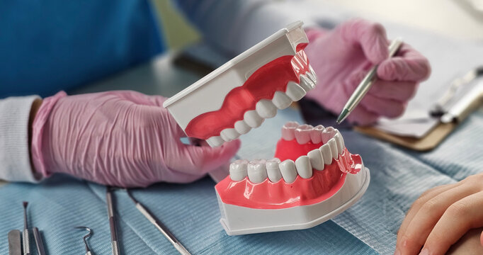 Demonstration of dental hygiene techniques using model teeth during a dental check-up