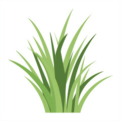Lush Green Grass Illustration Fresh Meadow Nature Graphics Botanical Element Decorative Lawn Natural Design Plant