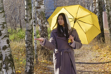 Young woman in a brown coat and headscarf stands on a birch-lined forest path with autumn leaves, holding a yellow umbrella and checking for rain with her hand. Suitable for weather topic
