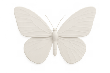 White minimalist butterfly 3d render, showcasing elegant insect design for decoration or wall art on transparent background