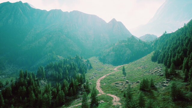 A picturesque view unfolds at dawn as soft light illuminates rolling hills and vibrant greenery. A winding path invites exploration through the tranquil wilderness, rich with life.