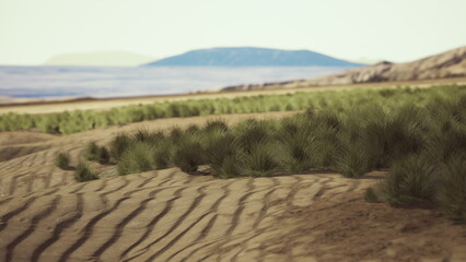 Soft sand dunes undulate under a clear sky, while lush green plants thrive amidst the desert. This tranquil oasis showcases a beautiful contrast between parched earth and life.