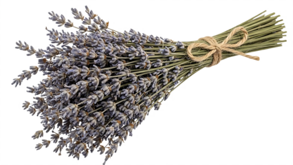 A bundle of dried lavender flowers tied with twine against a black background in a close up shot
