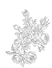 Rose bouquet sketch pattern drawing.