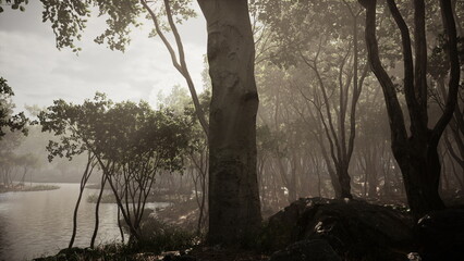 Sunlight gently breaks through the mist over the river, illuminating a tranquil forest. Tall trees surround the water, creating a peaceful backdrop filled with natures beauty.