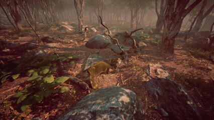 Soft morning light filters through the trees of a mystical forest. A small animal explores among moss covered rocks and lush greenery, creating a serene atmosphere.