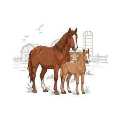 Brown Horse and Foal Standing in Field with Barn Silhouette at Sunrise Rural Landscape