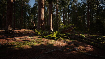 Lush greenery blankets the forest floor, with tall trees rising majestically. Soft light streams through the branches, creating a peaceful ambiance in natures sanctuary.