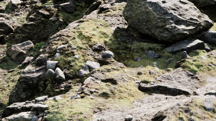 Moss blankets rugged rocks in a natural setting, illuminated by sunlight. The vibrant green contrasts with the cool gray and brown tones of the stones. Nature thrives in this peaceful environment.