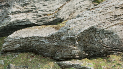 In a peaceful landscape, unique rock formations emerge from the ground, displaying intricate textures and earthy tones under soft sunlight, inviting exploration and contemplation in nature.
