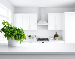 Bright White Cooking Area Blur with Counterto